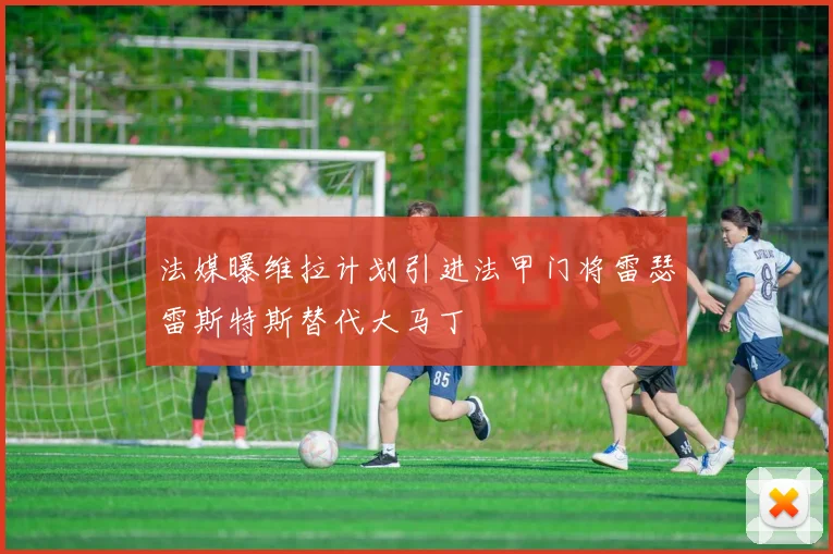 法媒曝维拉计划引进法甲门将雷瑟雷斯特斯替代大马丁