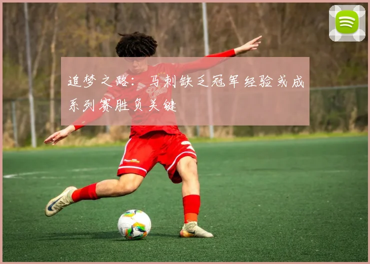 追梦之路：马刺缺乏冠军经验或成系列赛胜负关键